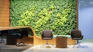 Beautiful Vertical Garden in Commercial Usage - Reception Area. Photo by YongHao Photography