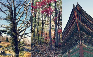Korea tour: Yonghao Photography, Iphone