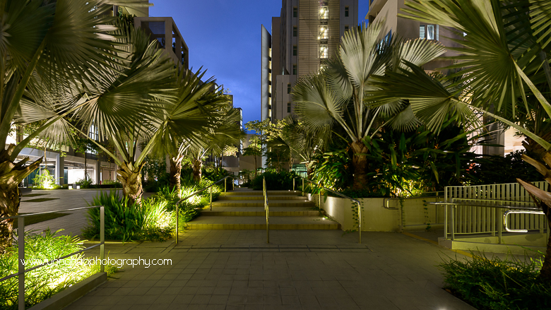 North Hill Student & Faculty Residential Complex, Guida Moseley Brown Architects, architectural photography, yonghao photography, architectural photographer, singapore photographer, ntu, hostel, Singapore, Interior photography, photography services