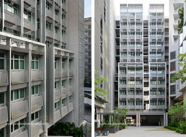 North Hill Student & Faculty Residential Complex, Guida Moseley Brown Architects, architectural photography, yonghao photography, architectural photographer, singapore photographer, ntu, hostel, Singapore, Interior photography, photography services