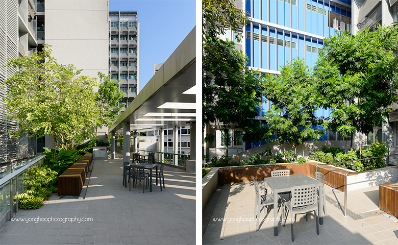 North Hill Student & Faculty Residential Complex, Guida Moseley Brown Architects, architectural photography, yonghao photography, architectural photographer, singapore photographer, ntu, hostel, Singapore, Interior photography, photography services